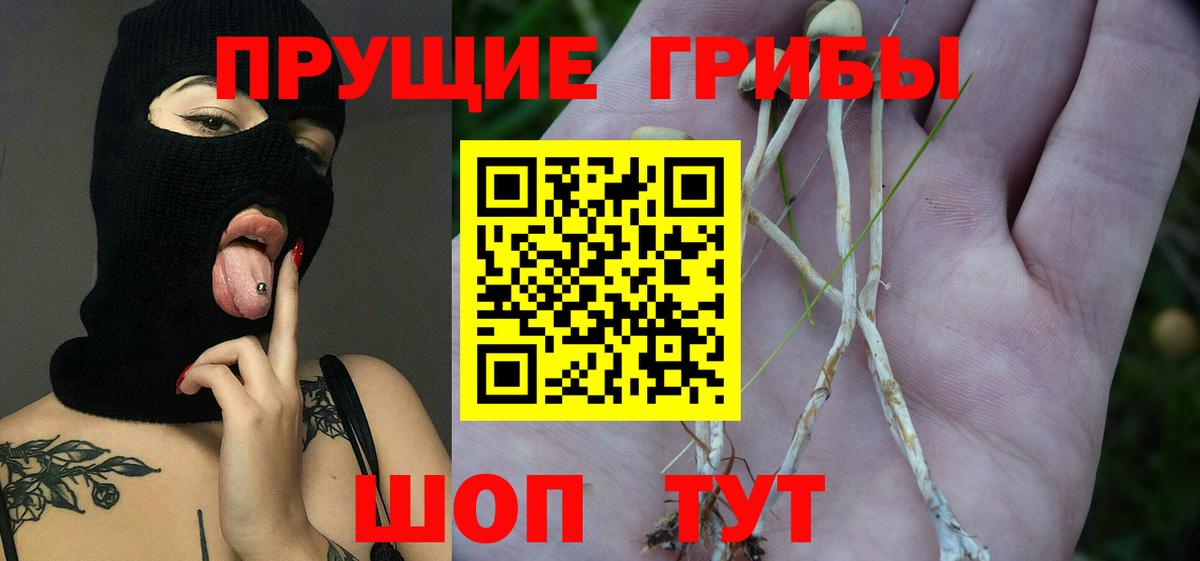 Псилоцибиновые грибы Magic Shrooms Саратов